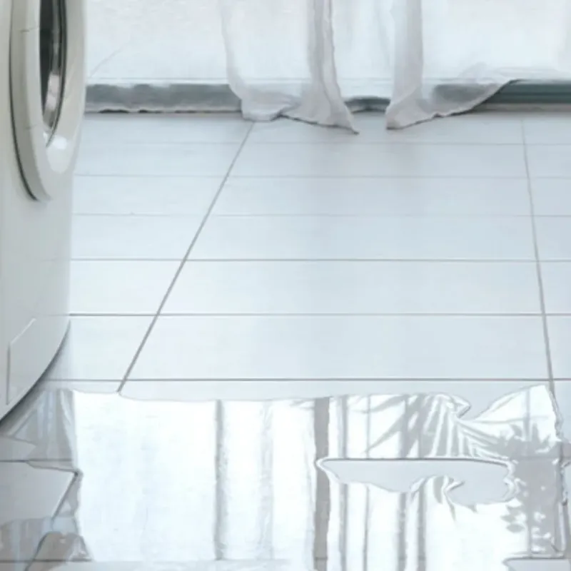 Appliance Leak Cleanup in Glendale, AZ